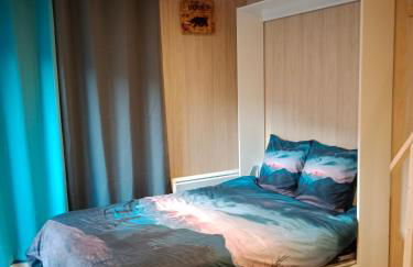 les gites axéens (l'Ours) - Foto 10