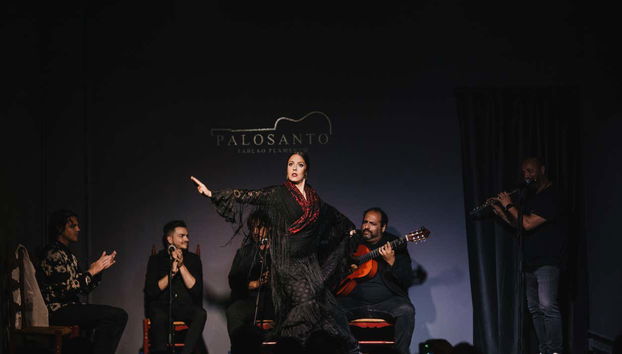 Bailaora expresando su arte sobre el escenario del tablao