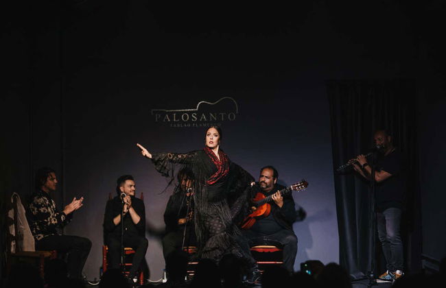 Spettacolo di flamenco al tablao Palosanto - Foto 3