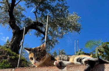 La colina buena - cosy casita for nature lovers - Foto 24