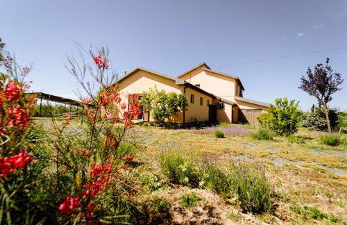 Villa Podere 109 - BioWine - Foto 6