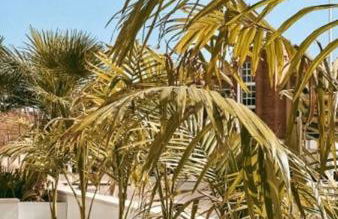 Casa Mostaza Cristal - Foto 22