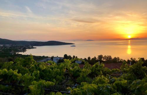 Villa Krassi - Foto 8