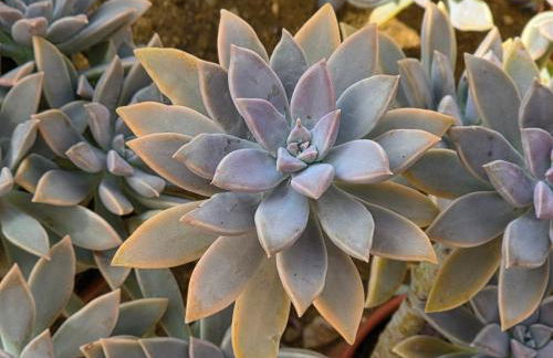 Vivenda Arcobaleno Portugal - Foto 40