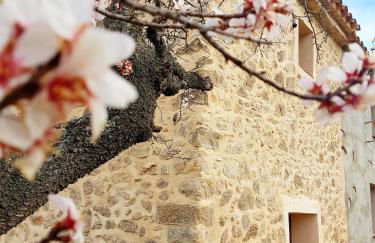 La Ultima Casa Masboquera - Foto 13