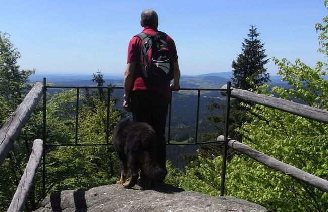 Nesterl Modern Retreat - Photo 10