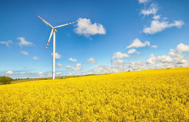 Cottage in Cisowo Near Baltic Coast Beach - Photo 38
