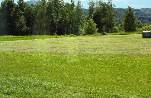 Słoneczny domek - Foto 53