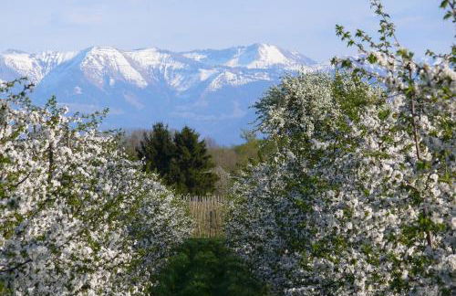 Ferienwohnung am Tuniswald - Foto 14