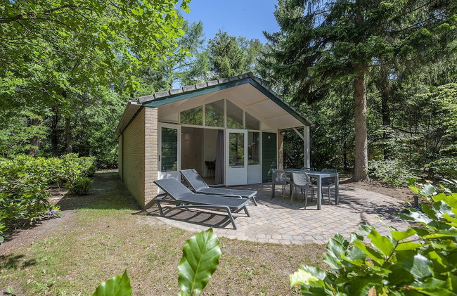 Designer Chalet in the Veluwe - Photo 1