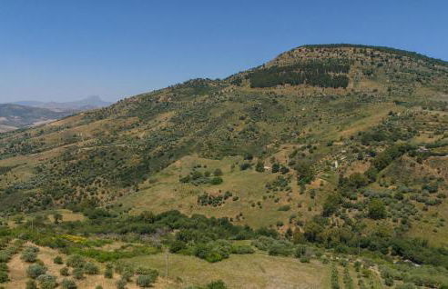 Biancolilla - Foto 29