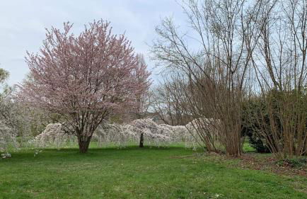 L'escapade verte - Foto 21