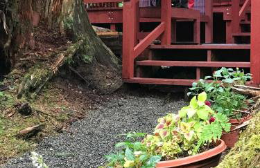Charming A-Frame Cabin Rental on Prince of Wales Island in Hollis, Alaska - Foto 16