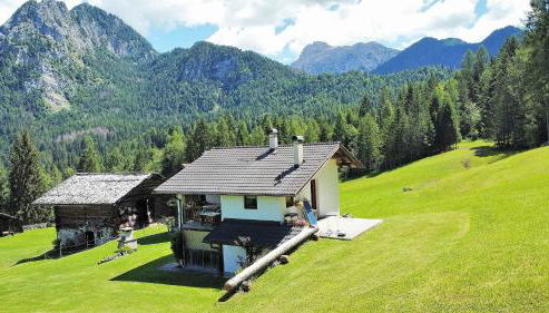 Baita Mountain View Pale San Martino - Foto 5, Garden