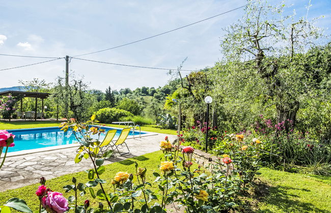 I Noccioli - Photo 19