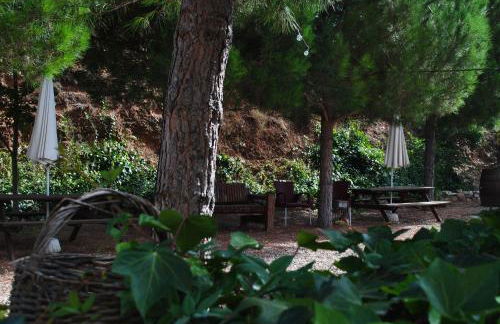 Masia El Riscle - Moli Del Pont - Foto 32