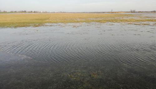 Gutshaus am Nationalpark Unteres Odertal - Foto 5