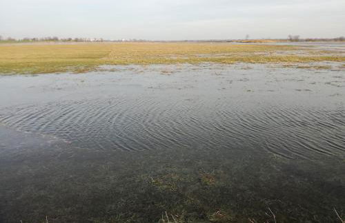Gutshaus am Nationalpark Unteres Odertal - Foto 5