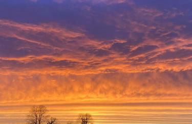 Ferme de Riou - Foto 18