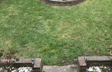 Sea Shells - Foto 18