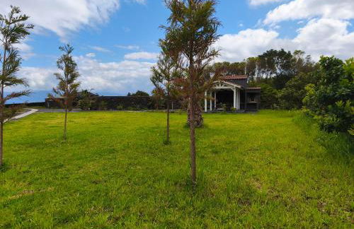 Cá Por Casa Pico-Criptoméria - Photo 32