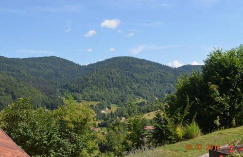 Gite BUSSANG - Foto 5