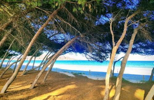 Tú casa en Mallorca con vistas al mar Tranquilidad todo el Año - Foto 57