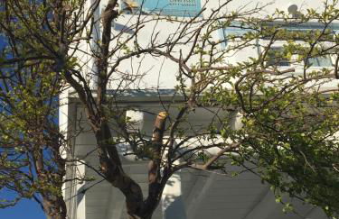 Mina Studios - Foto 80