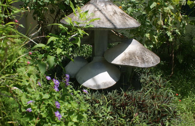 Kampot Nature Villa Resort - Foto 38