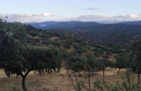 Posada Matadero - Foto 29