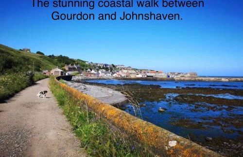 Driftwood - Photo 39