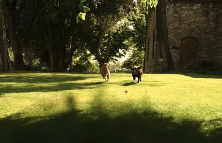 Poggio 3 Lune - Foto 19