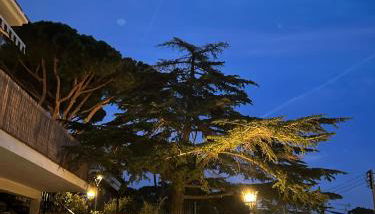 Apartment Pearl of Cabrils - Foto 2