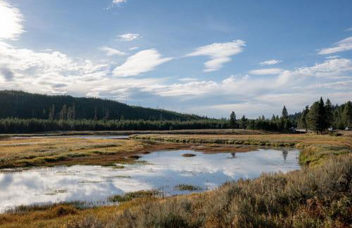 Cozy Henrys Lake Escape - 20 Miles to Yellowstone! - Foto 35
