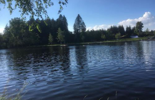 Ferienwohnung Pickenhan - Foto 29