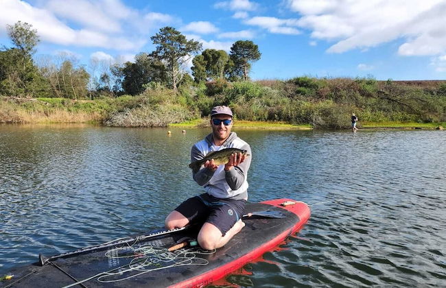 Portland Manor - Foto 41