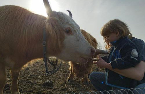 Rancho „Czajone na pigwowcu” - Foto 31