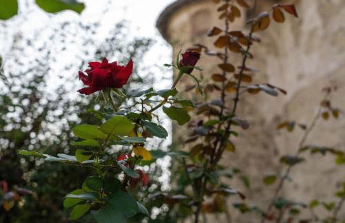 Castello di Lisignano - Storia Pace e Tradizione - Photo 27