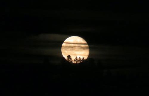 Panoramablick - Foto 20