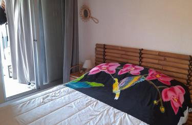 DUPLEX CAP D AGDE PISCINE - Photo 8