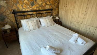 Apalonia Studio - Photo 3