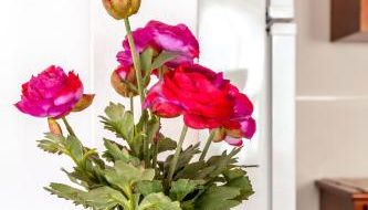 Casa do Tio Jose - Photo 5