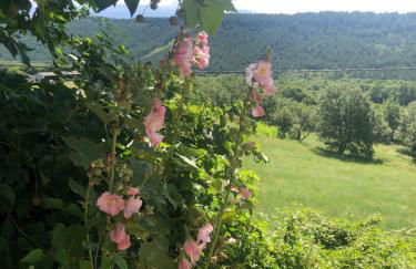 Luberon Provence Swimming pool Terrace View for 2 - Foto 26