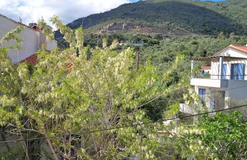 Floras Charming Waterfront Villa - Foto 26