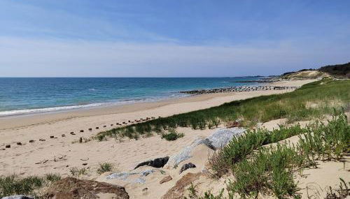 Joyau au cœur de la forêt - Foto 4