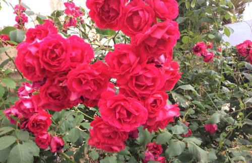 Villa Sol e Mar Private pool & jacuzzi - Photo 15