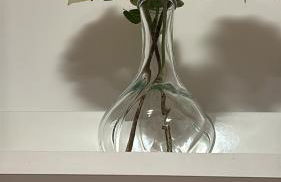 Casa Vacanze Palidoro Il Plumbaco - Foto 17