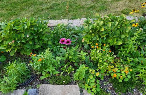 Souterrainwohnung im Grünen - Foto 41