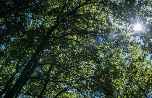 Relais Cocci Grifoni - Panoramic Wine Resort - Foto 31