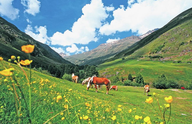 Apartment in Langenfeld Near Ski Slopes - Photo 37